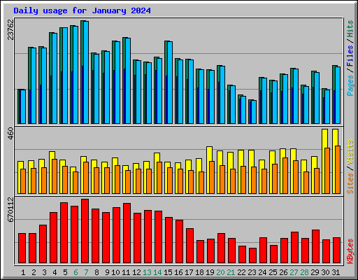 Daily usage for January 2024