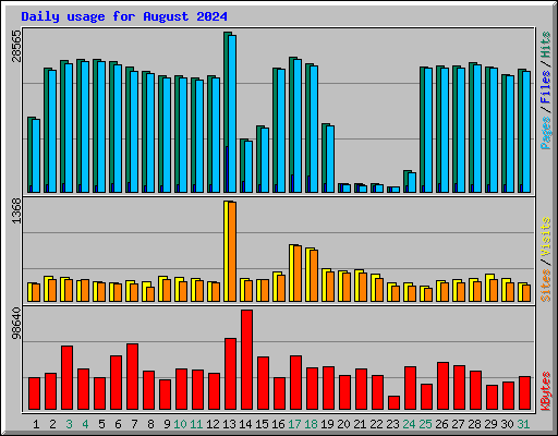 Daily usage for August 2024