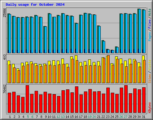 Daily usage for October 2024