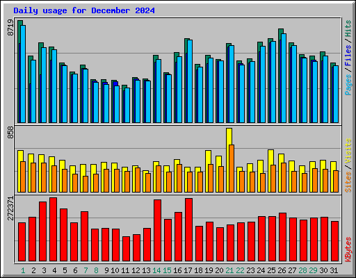 Daily usage for December 2024