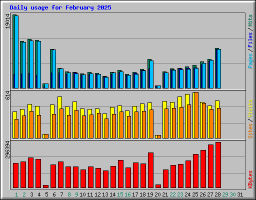 Daily usage for February 2025