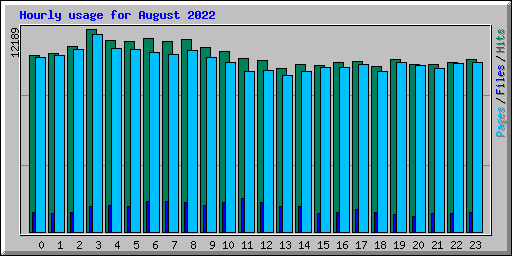 Hourly usage for August 2022