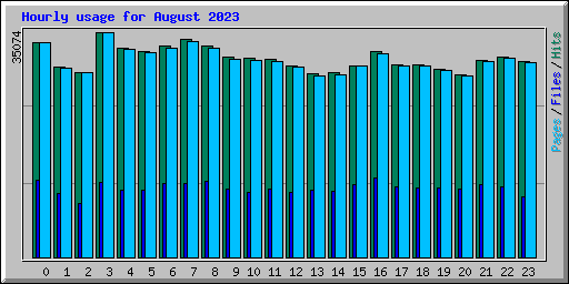 Hourly usage for August 2023