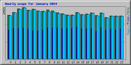 Hourly usage for January 2024