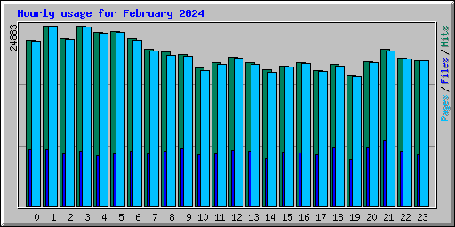 Hourly usage for February 2024