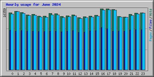 Hourly usage for June 2024