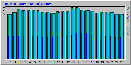 Hourly usage for July 2024