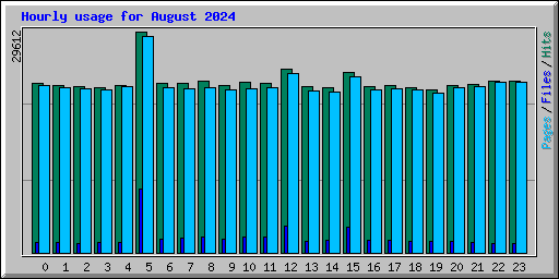 Hourly usage for August 2024