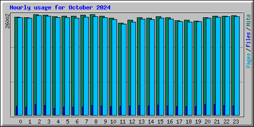 Hourly usage for October 2024