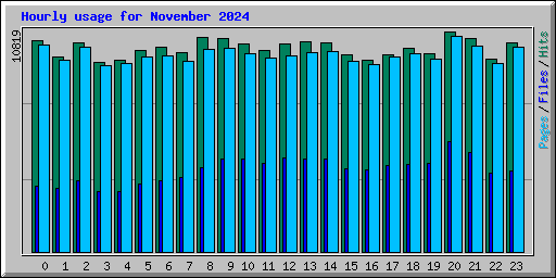 Hourly usage for November 2024