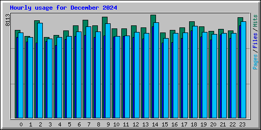 Hourly usage for December 2024