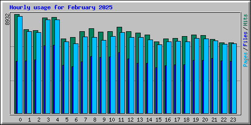 Hourly usage for February 2025