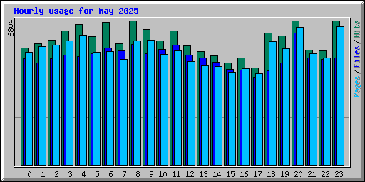 Hourly usage for May 2025