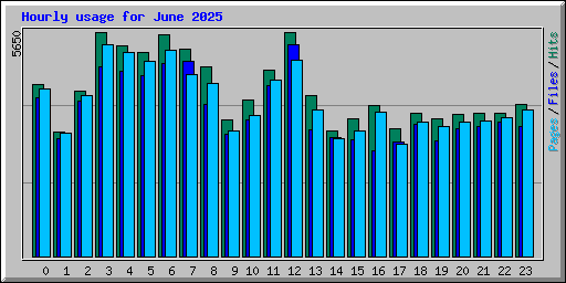 Hourly usage for June 2025