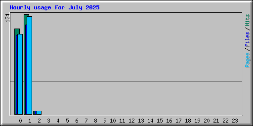 Hourly usage for July 2025