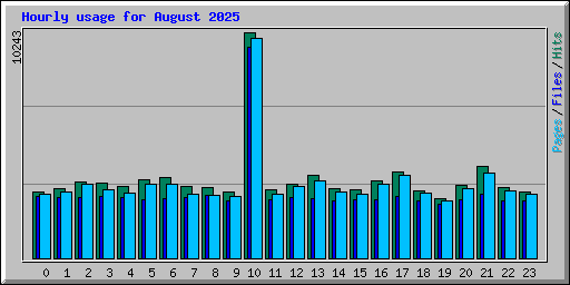 Hourly usage for August 2025