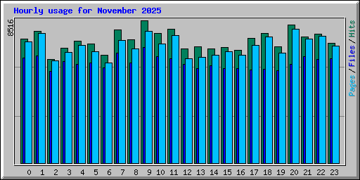 Hourly usage for November 2025