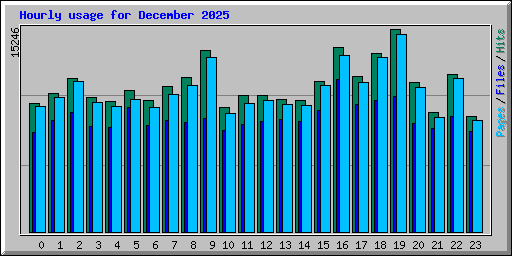 Hourly usage for December 2025