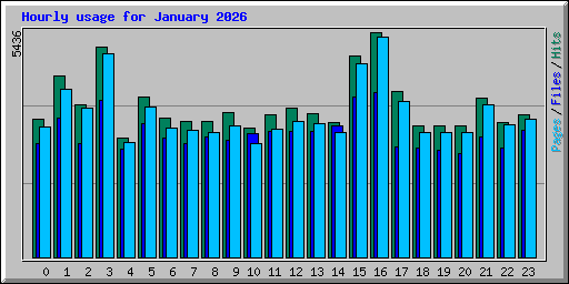 Hourly usage for January 2026