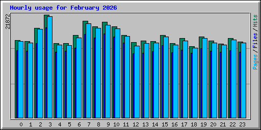 Hourly usage for February 2026